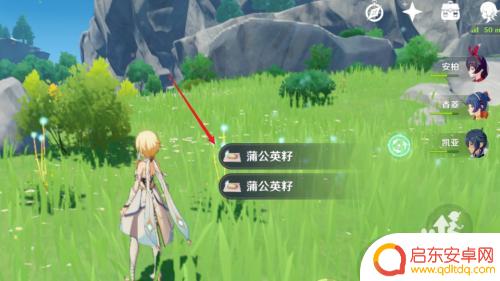 原神中的蒲公英在哪里采集 原神蒲公英怎么采集