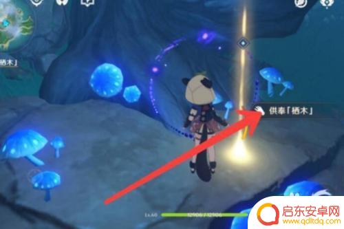 原神鹤观白雾如何消除?鹤观白雾的有效消除方法大揭秘!