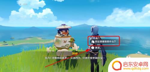 原神蓝色的鸟宠物怎么获得?解析攻略与获取方法