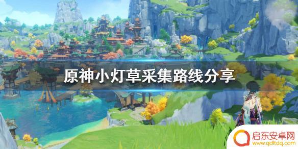 原神 灯草 《原神》小灯草地图位置及采集路线分享