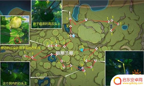 原神帕朵 原神帕蒂沙兰全采集位置图分享