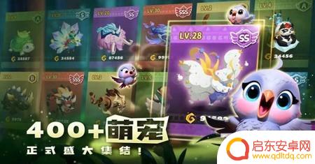奇异大陆怎么注册账号 如何在奇异大陆设置好新手开局