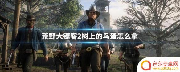 荒野大镖客2鸟蛋分布 荒野大镖客2树上的鸟蛋拿法