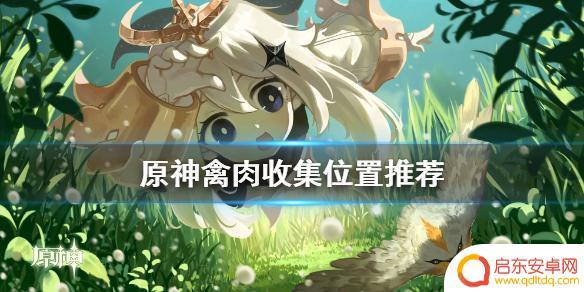 原神的禽肉去哪里打 原神禽肉收集地点推荐