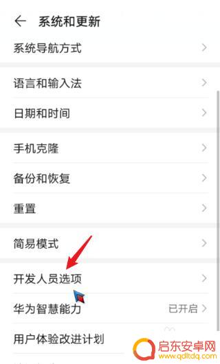 手机如何换颜色 手机屏幕显示异常变成黑白色怎么处理