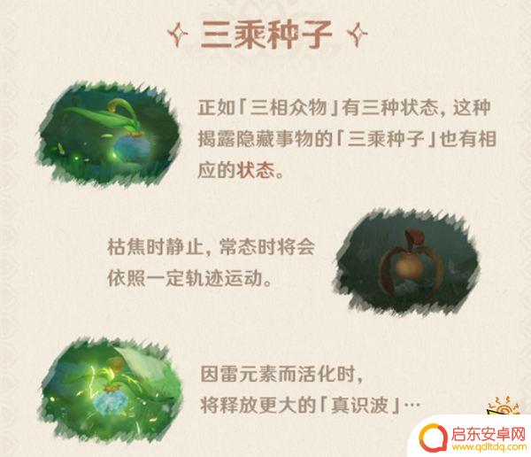 原神须弥飞在天上的种子一样的是什么 须弥解密会遇到什么生物