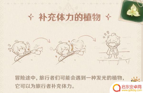原神须弥飞在天上的种子一样的是什么 须弥解密会遇到什么生物