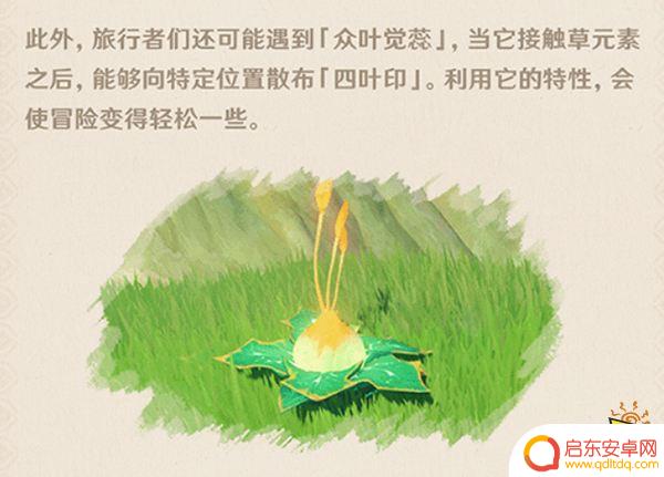 原神须弥飞在天上的种子一样的是什么 须弥解密会遇到什么生物