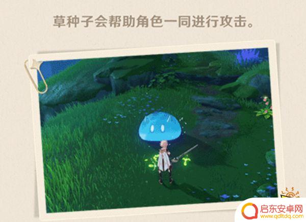 原神须弥飞在天上的种子一样的是什么 须弥解密会遇到什么生物
