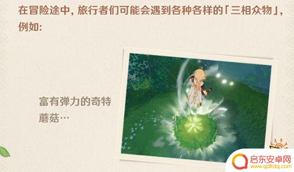 原神须弥飞在天上的种子一样的是什么 须弥解密会遇到什么生物