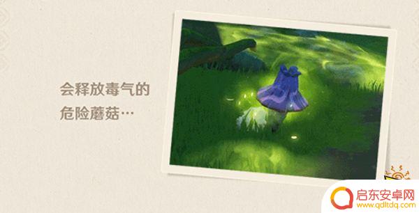 原神须弥飞在天上的种子一样的是什么 须弥解密会遇到什么生物