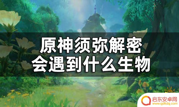 原神须弥飞在天上的种子一样的是什么 须弥解密会遇到什么生物