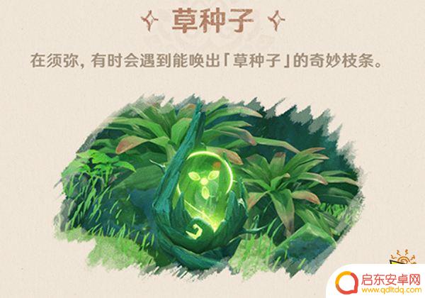 原神须弥飞在天上的种子一样的是什么 须弥解密会遇到什么生物