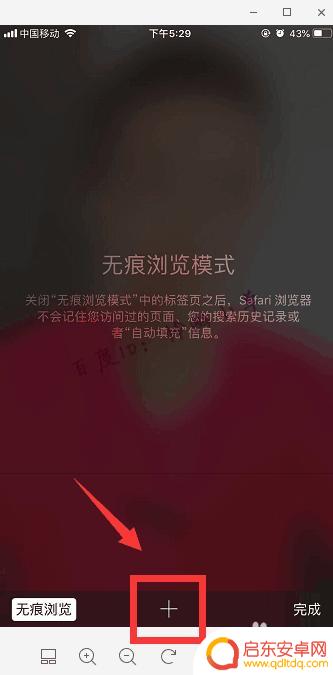 苹果手机如何无图浏览 苹果手机怎么开启隐私浏览模式