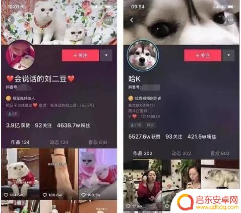 抖音图片背景变小了(抖音图片怎么变成视频)