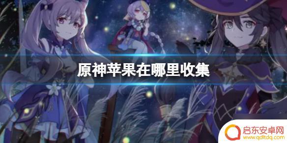 原神苹果在哪里收买 原神苹果在哪里收集