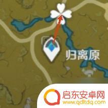 原神苹果在哪里收买 原神苹果在哪里收集