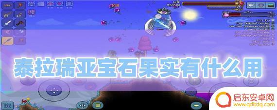 泰拉瑞亚黄玉宝石果实有什么用 泰拉瑞亚宝石果实能做什么