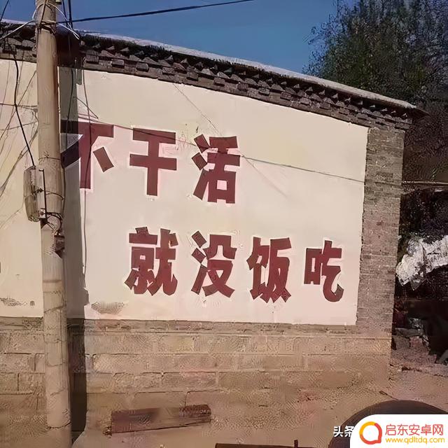 阿诺抖音多少粉丝(阿诺抖音多少粉丝了)