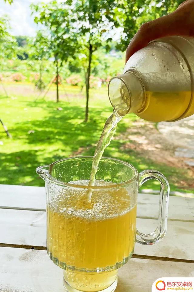 抖音海南喝茶文案(海南喝茶怎么说)