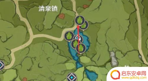 青蛙在哪里可捕捉原神 原神青蛙采集地点在哪里
