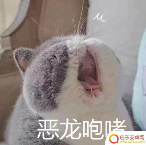 抖音恶龙咆哮是什么梗
