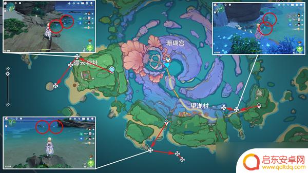 海灵芝原神位置 原神海灵芝采集方法