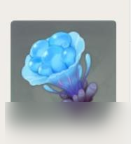 海灵芝原神位置 原神海灵芝采集方法