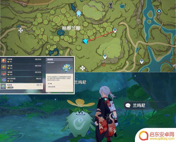 原神波劫莲位置 《原神》劫波莲采集路线建议