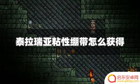 泰拉瑞亚中怎么得粘性绷带 泰拉瑞亚怎么获得粘性绷带