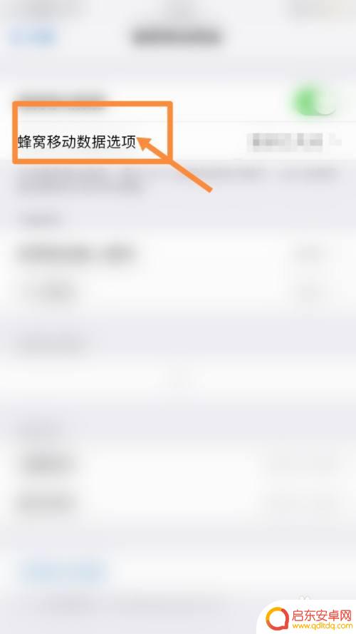 电信苹果手机网速如何 苹果13手机如何显示实时网速