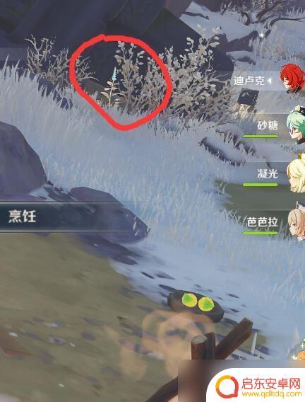 喂狐狸的地方怎么去 原神喂狐狸位置分享攻略