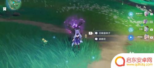 原神稻妻采集雷达：快速找到稻妻的最佳采集位置