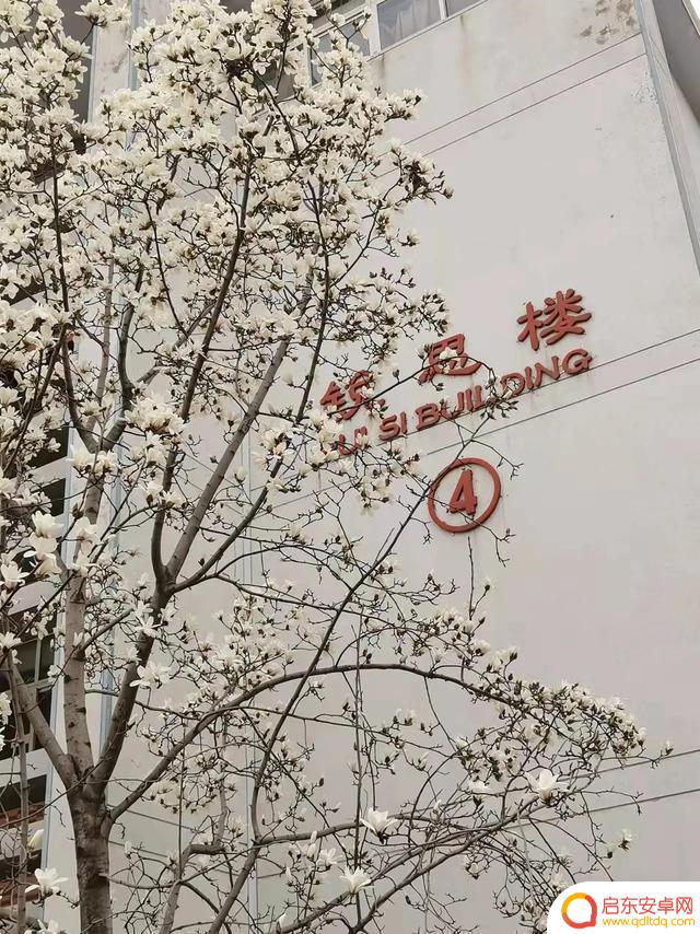 春天赏花抖音文案(春天赏花抖音文案怎么写)