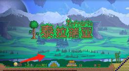 泰拉瑞亚神奇的墙 泰拉瑞亚墙壁建造指南