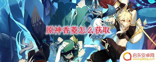 原神中香菱怎么获得 原神香菱获取方法