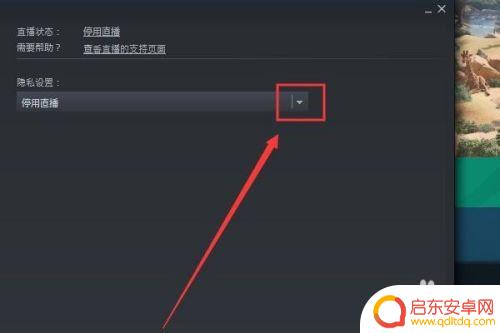 steam直播 怎么邀请 Steam如何开直播教程