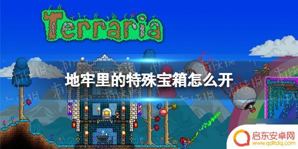 泰拉瑞亚怎么挖地牢宝箱 如何在《泰拉瑞亚》地牢中开启特殊宝箱