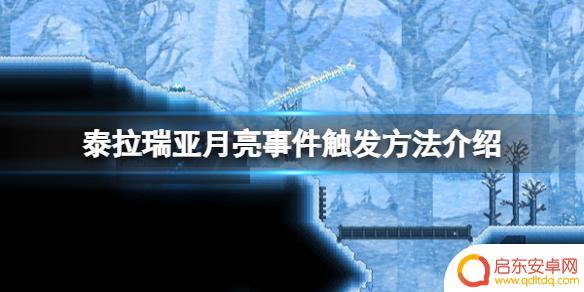 泰拉瑞亚月亮魅力 《泰拉瑞亚》如何触发月亮事件