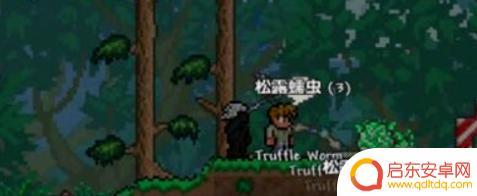 泰拉瑞亚松露蠕虫怎么刷 松露虫刷怎么做 《泰拉瑞亚》