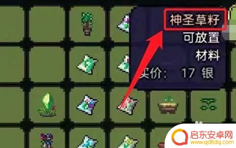 泰拉瑞亚如何种草籽种植 泰拉瑞亚神圣草籽怎么种植
