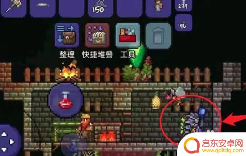 泰拉瑞亚如何种草籽种植 泰拉瑞亚神圣草籽怎么种植