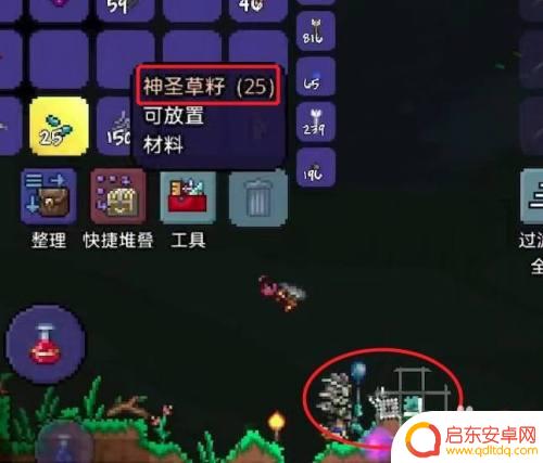 泰拉瑞亚如何种草籽种植 泰拉瑞亚神圣草籽怎么种植