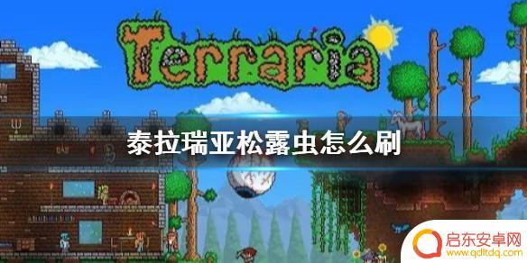 泰拉瑞亚松露蠕虫怎么刷 松露虫刷怎么做 《泰拉瑞亚》