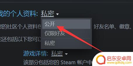 steam 公开 Steam资料怎么完全公开
