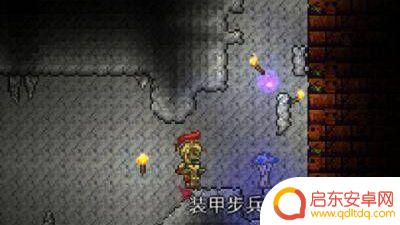 t泰拉瑞亚神庙怎么找 《泰拉瑞亚》丛林神庙怎么找