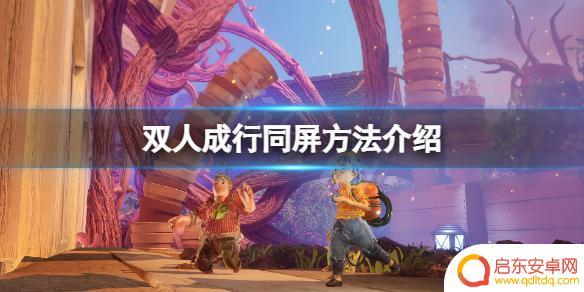 steam双人成行怎么同屏 双人成行同屏方法