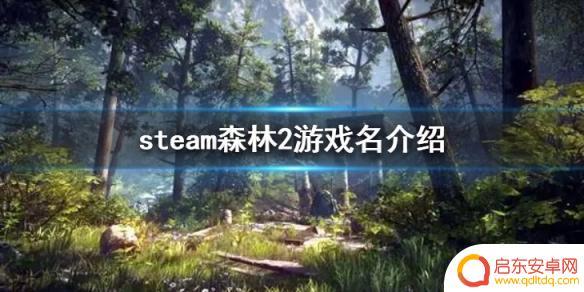 森林二steam叫什么 《森林之子》steam版游戏介绍