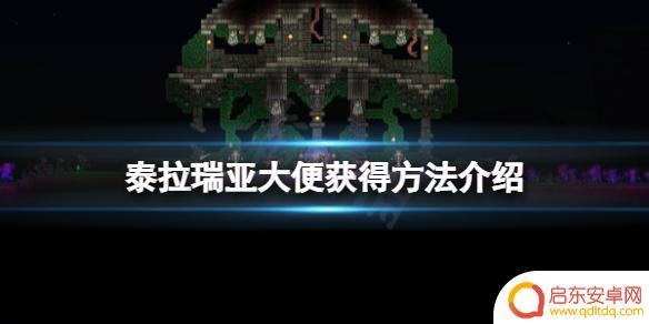 泰拉瑞亚便便怎么获得 泰拉瑞亚 臭臭获得方法