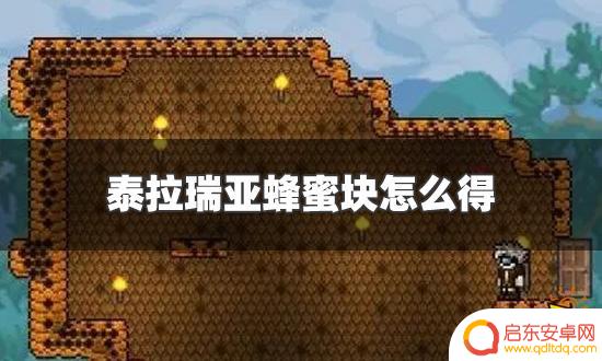 泰拉瑞亚怎么取蜂蜜块 泰拉瑞亚蜂蜜块怎么得